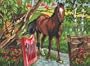 Paint By Number Kit 12-Inch by 15-1/2-Inch, Horse