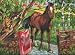 Paint By Number Kit 12-Inch by 15-1/2-Inch, Horse