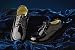 Boy's Patent Leather Square Toe Dress Shoes in Black