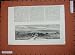 1886 Old Sarum Boroughs Disfranchised Country Trees
