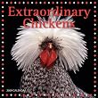 Extraordinary Chickens 2009...