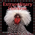Extraordinary Chickens 2009 Wall Calendar