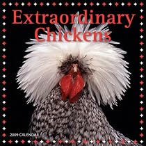Extraordinary Chickens 2009 Wall Calendar