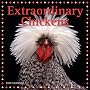 Extraordinary Chickens 2009 Wall Calendar