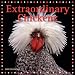 Extraordinary Chickens 2009 Wall Calendar