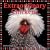 Extraordinary Chickens 2009 Wall Calendar