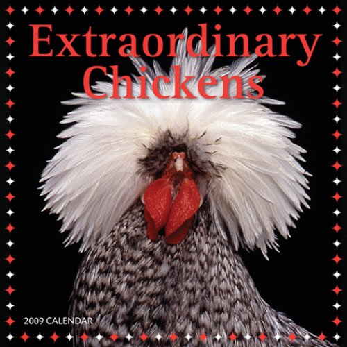 Extraordinary Chickens 2009 Wall Calendar under Animals in The Books Store
