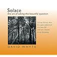 Solace: The Art of Asking the Beautiful Question