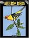 Audubon Birds Stained Glass Coloring Book