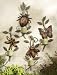 Set of 4 Garden inspired Insect Candle Holders with Bronze Finish