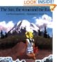The Sun, the Wind and the Rain (Owlet Book)