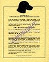 Rules In A Chesapeake Bay Retriever's House