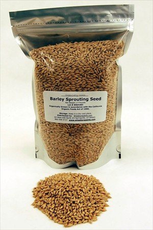 2.5 Lbs- Certificed Organic Barleys Seeds in Re-sealable Pouch for Freshness Barleygrass... by Organic Flours