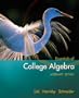Essentials of College Algebra, Alternate Edition