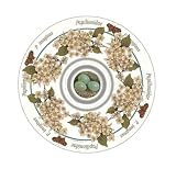Melamine Chip-N-Dip/Garden Room