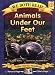 Animals Under Our Feet (We Both Read)
