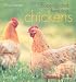 Choosing & Keeping Chickens