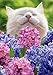 Cat Smelling Hyacinths Cute Easter Card