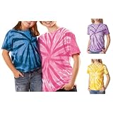 Gildan Tie-Dyes - Adult One-Color Pinwheel Tee (77)
