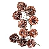 大地農園 ドライフラワー 松カサ ステム付 大 (10コ入り) DO024192-000