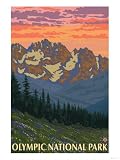 Spring Flowers, Olympic National Park Premium Poster Print, 12x16