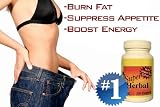 The REVOLUTIONARY New #1 HARDCORE Diet Pill ~ SUPER HERBAL - Lose Up to 25 POUNDS in 30 Days!