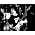 Thumbnail image of Gary Moore