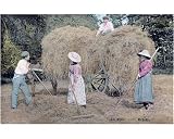 Photographic Print of With the Hay, c1900. from Heritage-Images