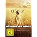 W�chter der W�ste