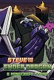Steve And The Ender Dragon