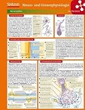 Lerntafel: Neuro- und Sinnesphysiologie im &Uuml;berblick (Lerntafeln Biologie) - Birgit Jarosch