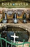 Holy wells : a pilgrim's prayer companion and guide