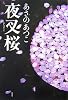 夜叉桜