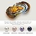 Round Akoya Twins Cultured Pearl in Oyster 6-7mm 50pcs (White, Pink, Purple,Dyed Black)