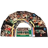 Panini Boston Celtics 2010/11 Team Set, 14 Rookie Cards
