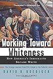 Working Toward Whiteness: How America's Immigrants Became White: The Strange Journey from Ellis Island to the Suburbs