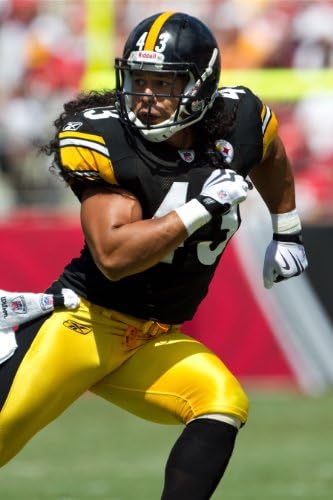 Troy Polamalu Poster Photo Limited Print Pittsburgh Steelers NFL Football Player Sexy Celebrity Athlete Size 22x28 #2