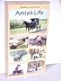 Reflections of Amish Life [VHS]