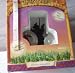 Harry Potter Ron Musical Waterball figurine by Enesco_s-2