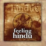 Feeling Hindu