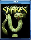 The Beauty of Snakes [Blu-ray]