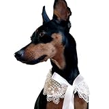 One Tail Four Paws Pearl Lace Pet Necklace, Medium, Creamy