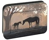 Tree-Free Greetings Mare and Foal, 12 Count EcoFriendly Note-card Assortment in a Collectible Photo Frame Tin (95724)