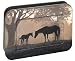 Tree-Free Greetings Mare and Foal, 12 Count EcoFriendly Note-card Assortment in a Col...