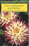 Chrysanthemums and dahlias