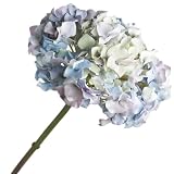 Zodax CH-2027 Light Blue Hydrangea Stem, 19-Inch Tall