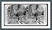 Historic Print (S): An old-time estate, Dominica, Island in Caribbean Sea