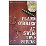 At Swim-two-birds (Penguin Modern Classics) by Flann O'Brien