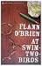 At Swim-two-birds (Penguin Modern Classics)