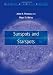 Sunspots and Starspots (Cambridge Astrophysics)